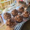 Chocolate Mousse Cupcake