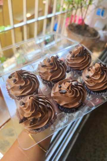 Chocolate Mousse Cupcake