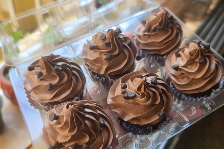 Chocolate Mousse Cupcake